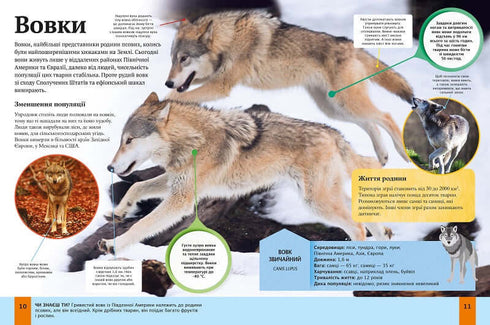 Enciclopedia infantil de animales