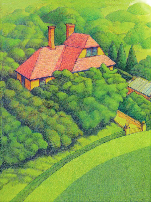 Fantástico viaje en avión