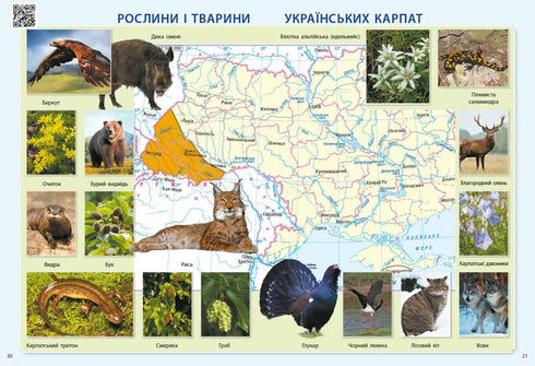 I explore the world. 3rd grade. Atlas - 9786170962454