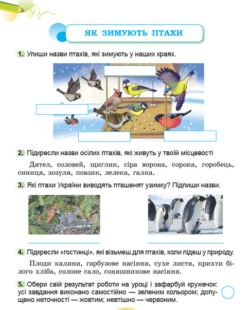 Я досліджую світ. Зошит інтегрованого курсу для 2 класу Ч.2 2025 НУШ