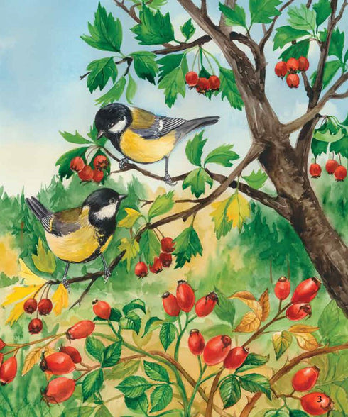 Enciclopedia del preescolar. Bosque