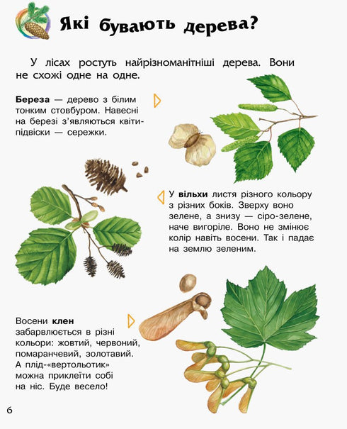Enciclopedia del preescolar. Bosque