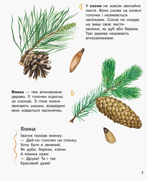 Enciclopedia del preescolar. Bosque