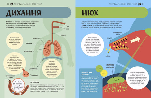 Enciclopedia STEM para niños. 100 conceptos del futuro genio - 9786170992789