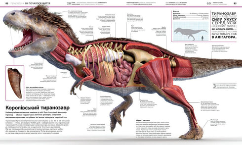 Enciclopedia de conocimientos - 9786170989451