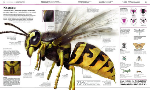 Enciclopedia de conocimientos - 9786170989451