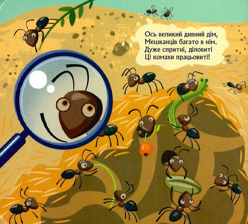 Quién se escondió bajo tierra