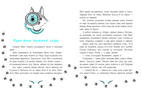 Detective del bosque. El misterio de los conejos desaparecidos