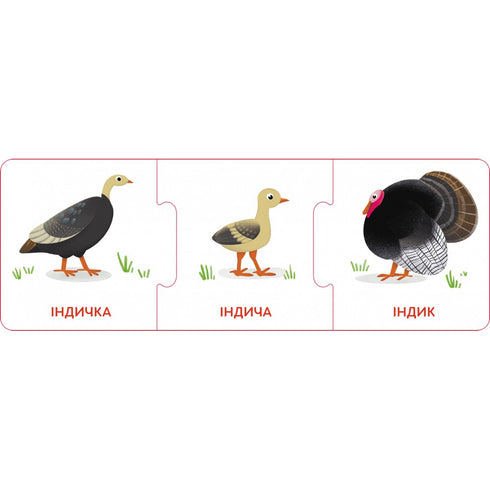 Logical chains. Baby animals and their families