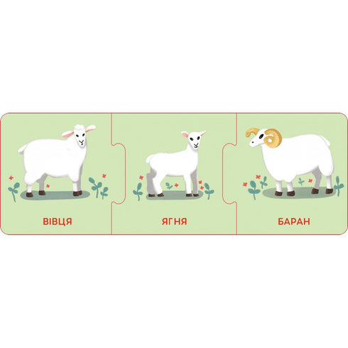 Logical chains. Baby animals and their families