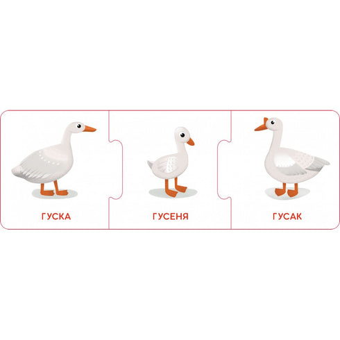 Logical chains. Baby animals and their families