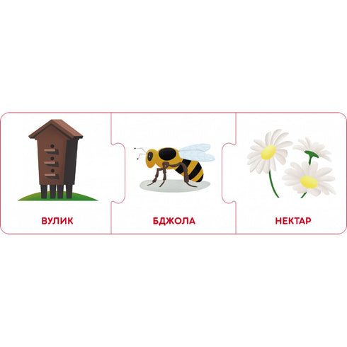 Logical chains. Animal world. Who lives where and what they eat