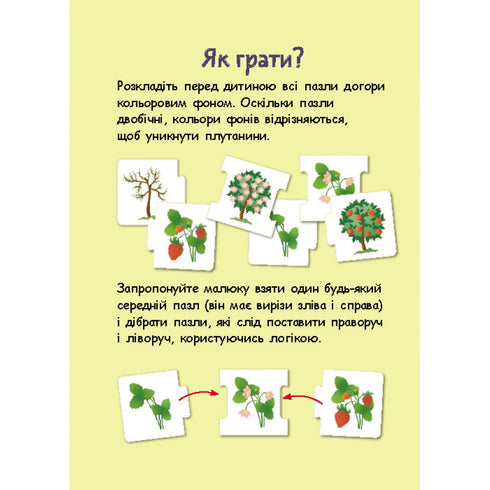 Логічні ланцюжки. Тварини і рослини. Етапи розвитку