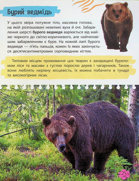 Mini encyclopedia. Animal world