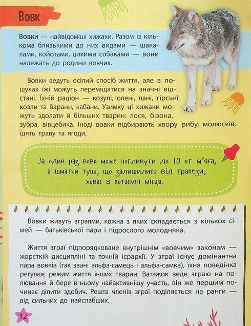 Mini encyclopedia. Animal world