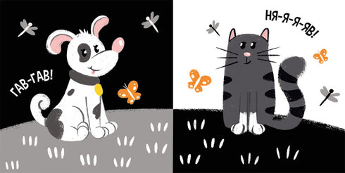 My contrast book. Animals