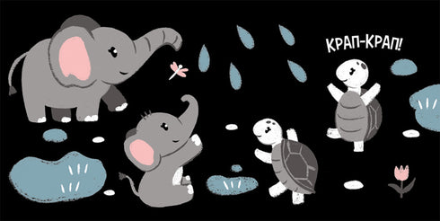 My contrast book. Animals