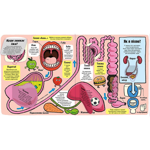 Mi cuerpo asombroso. Pequeños exploradores (edición agotada)