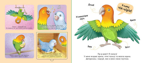 Mis favoritos - 9789667511920