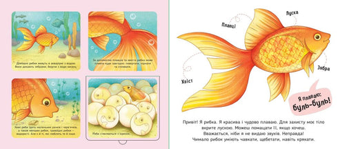 Mis favoritos - 9789667511920