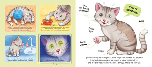 Mis favoritos - 9789667511920