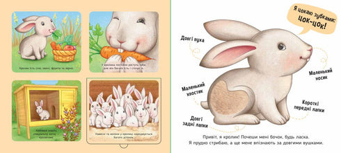 On the farm - 9789667511937