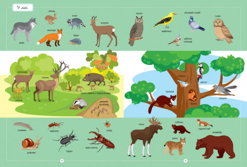 El mejor diccionario de animales