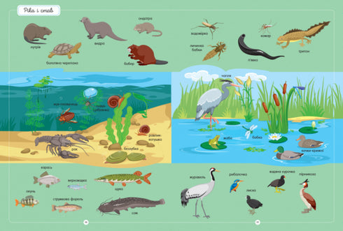 El mejor diccionario de animales