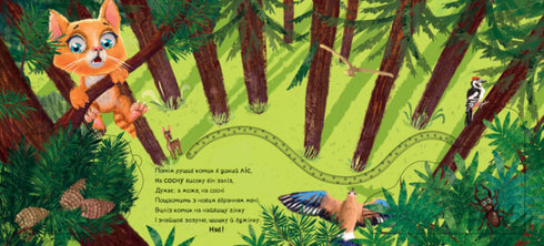 Nuevo conjunto de gatito (agotado)