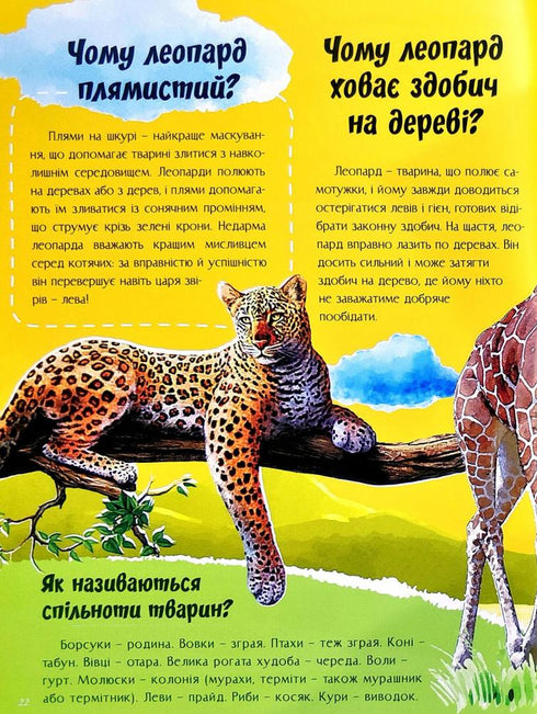 About everything in the world. Answers to questions