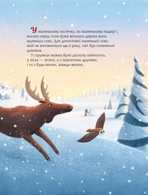 Christmas Owl: Based on the True Story of the Little Owl Rockefeller - 9789661091978