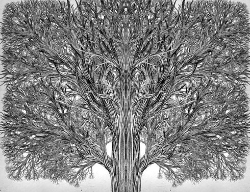 Escuela de Buenas y Malas. El Único Rey Verdadero. Libro 6