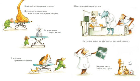 Working Animals. One Day in the Life of Animal Doctors