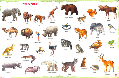 Bebés sobre todo en el mundo.