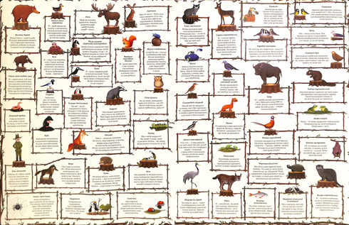 Un año en el bosque