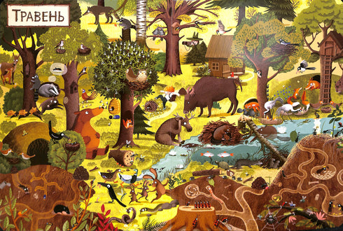 Un año en el bosque