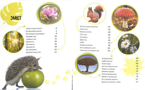 El mundo y sus misterios: La vida del bosque