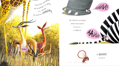 ¿Cómo encontrar un león?