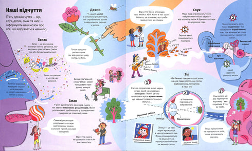 El gran libro sobre el cuerpo