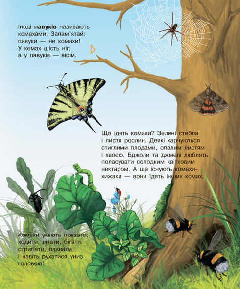 Enciclopedia del preescolar. Insectos