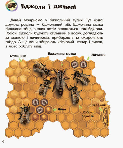 Enciclopedia del preescolar. Insectos