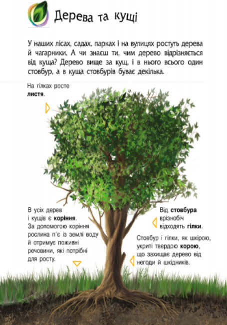 Enciclopedia del preescolar. Naturaleza