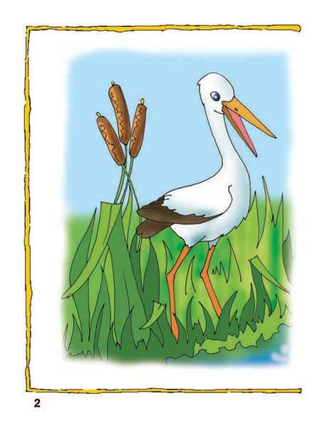 Aprendemos a contar. Matemáticas Nº2