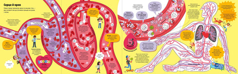 El gran libro sobre el cuerpo
