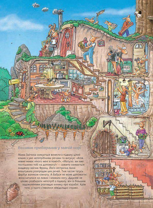 Conejito Franz. Gran libro de observación