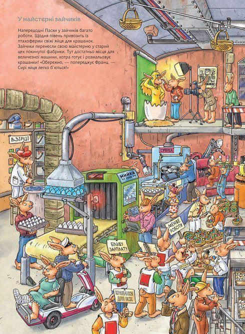 Conejito Franz. Gran libro de observación